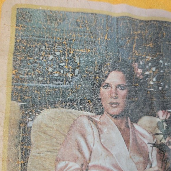 Vtg 1978 Debbie Boone Midsream Shirt Medium - Picture 7 of 9